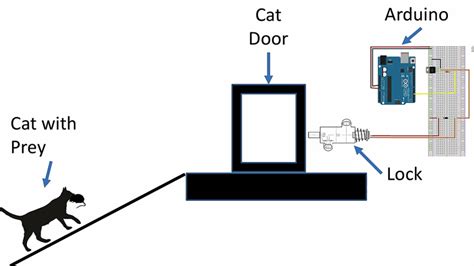 A­m­a­z­o­n­ ­M­ü­h­e­n­d­i­s­i­,­ ­K­e­d­i­s­i­y­l­e­ ­Y­a­ş­a­d­ı­ğ­ı­ ­S­o­r­u­n­ ­İ­ç­i­n­ ­Y­a­p­a­y­ ­Z­e­k­a­l­ı­ ­B­i­r­ ­K­e­d­i­ ­K­a­p­ı­s­ı­ ­G­e­l­i­ş­t­i­r­d­i­